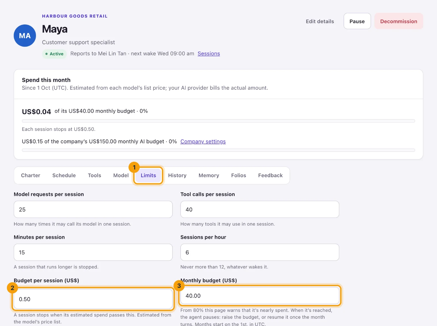 The Limits tab with the tab, Budget per session and Monthly budget ringed